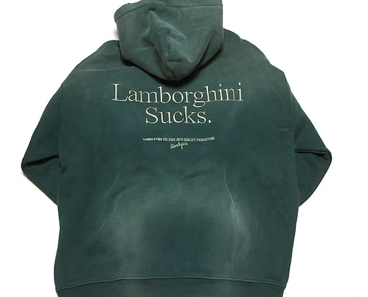 CASTYCO Lambo Sucks Hoodie